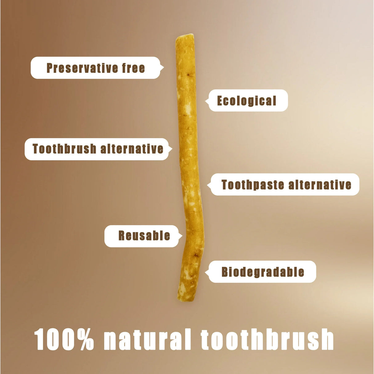 6 Pack Organic Miswak Toothbrushes | All-Natural Wooden Miswak Sticks for Teeth Whitening | Oral Care, Fresh Breath & Eco-Friendly | Clove Flavor