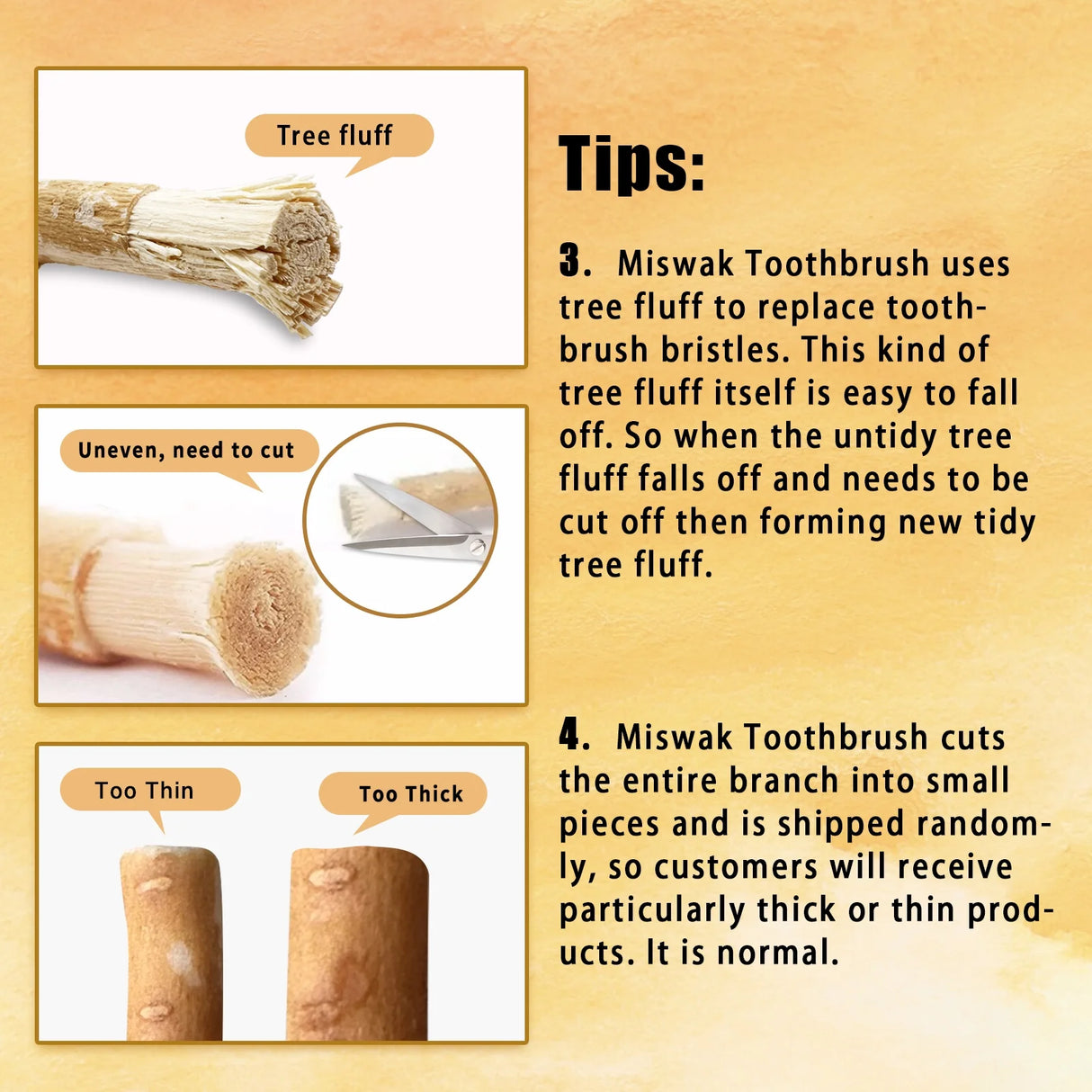 6 Pack Organic Miswak Toothbrushes | All-Natural Wooden Miswak Sticks for Teeth Whitening | Oral Care, Fresh Breath & Eco-Friendly | Clove Flavor