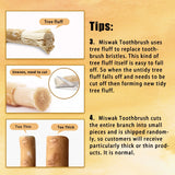 6 Pack Organic Miswak Toothbrushes | All-Natural Wooden Miswak Sticks for Teeth Whitening | Oral Care, Fresh Breath & Eco-Friendly | Clove Flavor